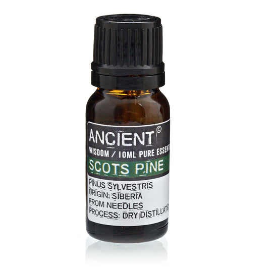 10 ml Pine Sylvestris (Scots Pine) Premium Essential Oil