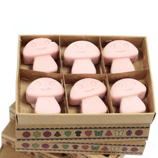 Gift Set of 6 Wax Melts - Coffee Trader