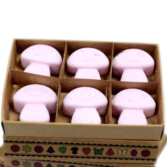 Gift Set of 6 Wax Melts - Ylang Ylang