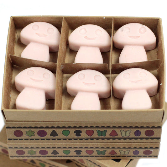 Gift Set of 6 Wax Melts - Old Ginger