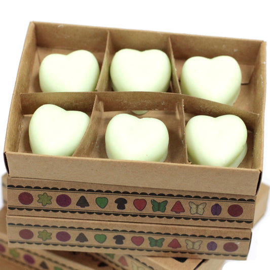 Gift Set of 6 Wax Melts - Watermelon Fresh