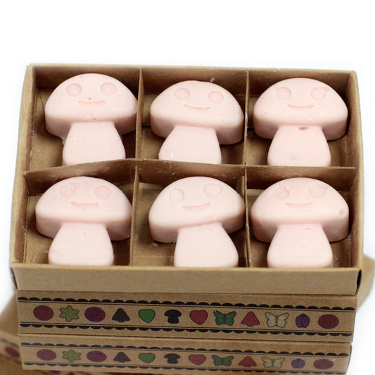 Gift Set of 6 Wax Melts - Dark Sandalwood
