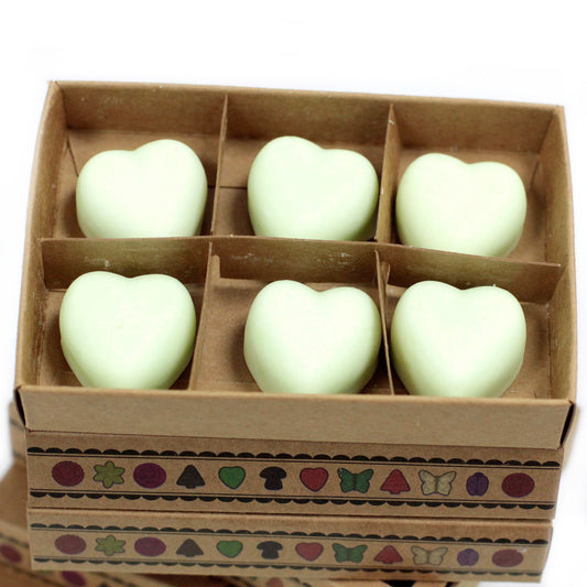Gift Set of 6 Wax Melts - Mint & Menthol