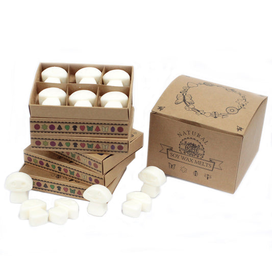 Gift Set of 6 Wax Melts - White Musk