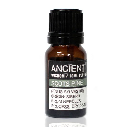 10 ml Pine Sylvestris (Scots Pine) Premium Essential Oil