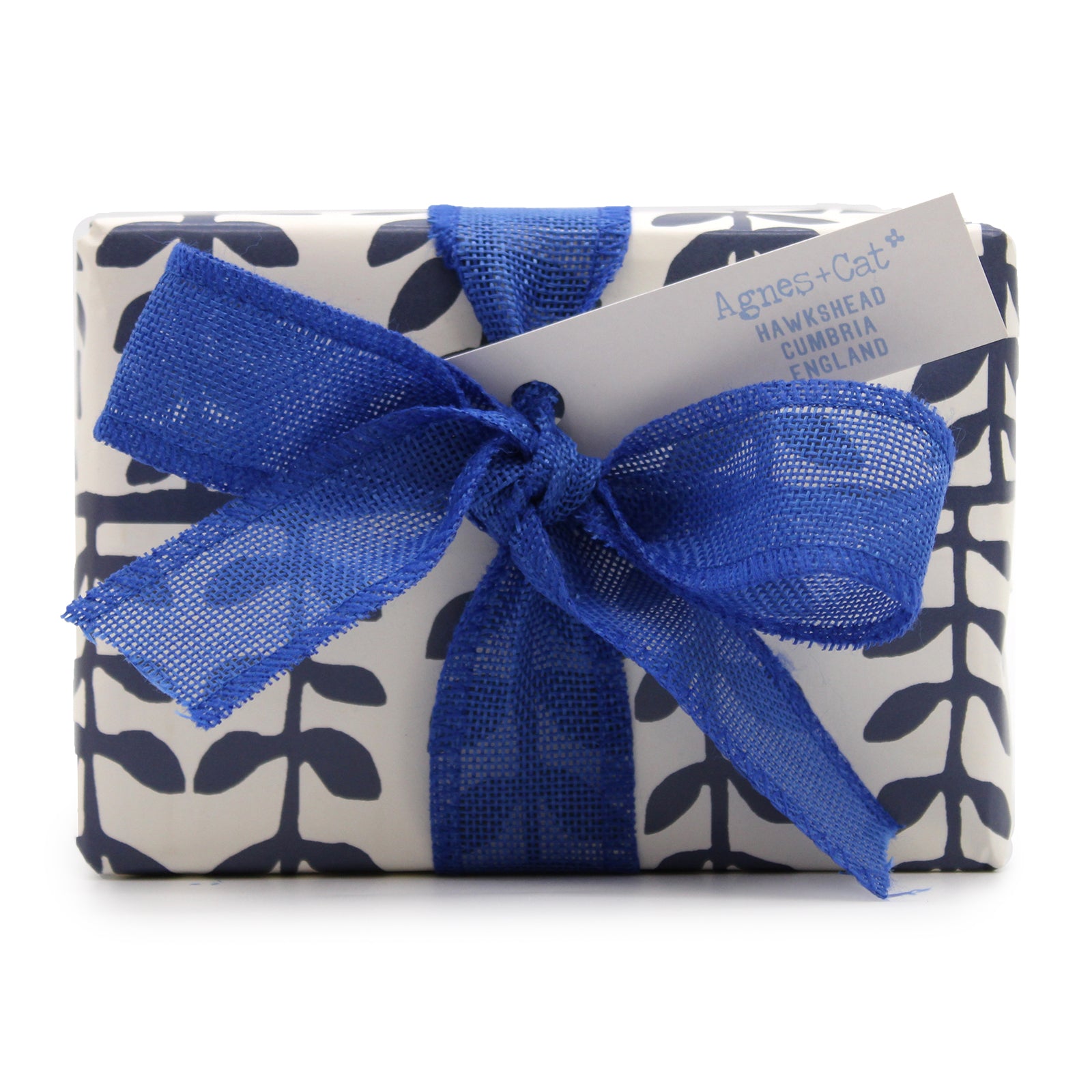 Gift Box - Parma Violet (Candle) + Seasalt and Moss & Dolly Blue (Fizz)