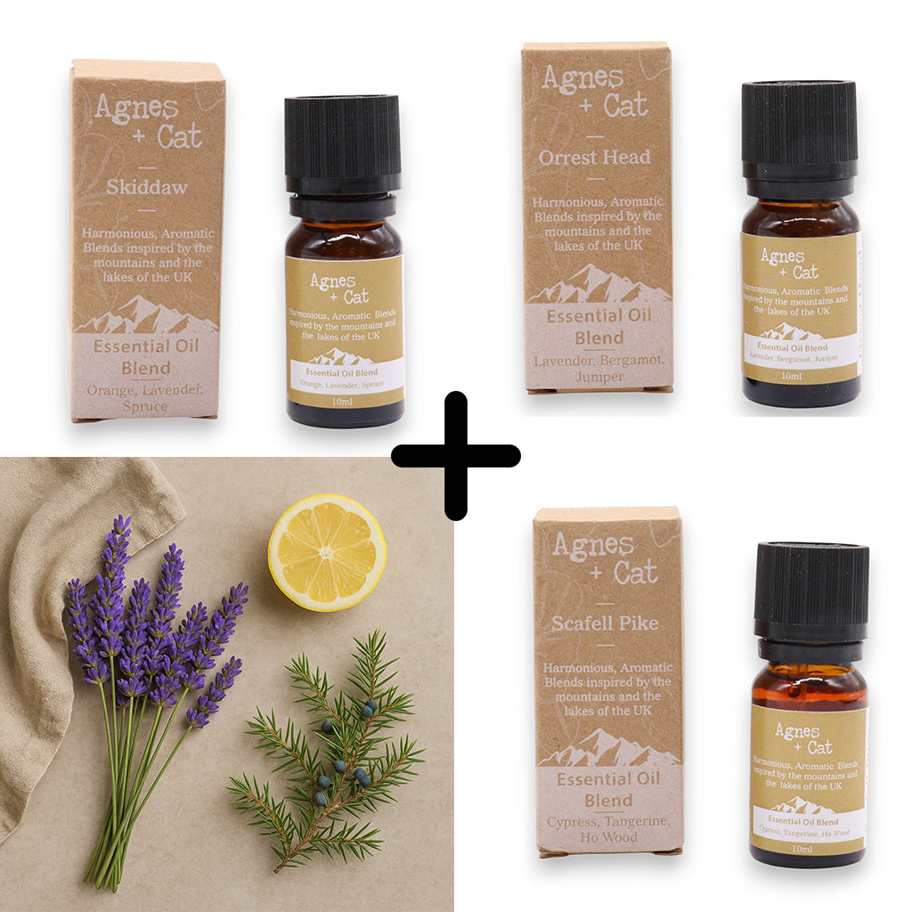 Agnes & Cat - Relax & Unwind Set Of 3 Premium Essential Oil Blends