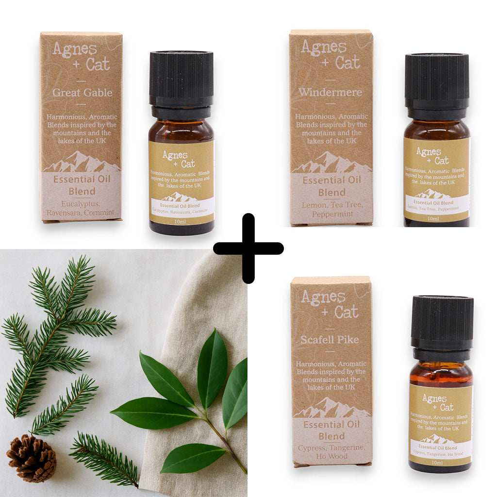 Agnes & Cat - Forest Retreat Set Of 3 Premium Essential Oil Blends