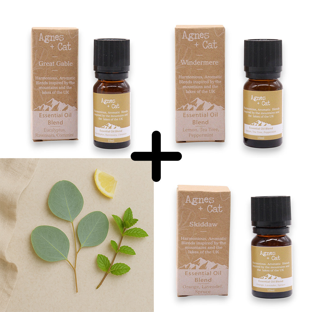 Agnes & Cat - Breathe Easy Set Of 3 Premium Essential Oil Blends